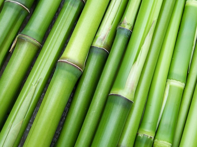 5 steder at kigge efter input til bambus havemøbler