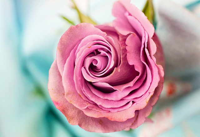 Kunstige blomster til gravsteder: Sådan bevarer du mindet om dine kære